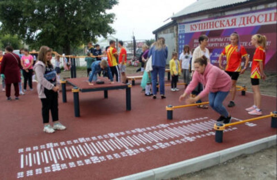 Площадку для сдачи норм ГТО получила спортшкола в Новосибирской области