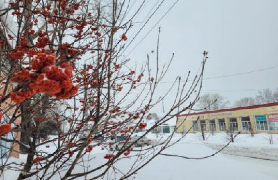 Теплые выходные ожидают жителей Болотнинского района 19-20 февраля