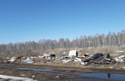 Несанкционированных свалок в Болотнинском районе станет меньше
