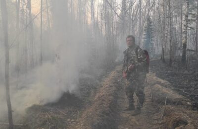 Лесные пожары в Новосибирской области ставят антирекорд 