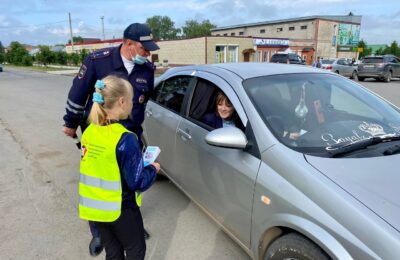 Вопрос безопасности детей на дороге обсудили на заседании комитета Законодательного собрания Новосибирской области