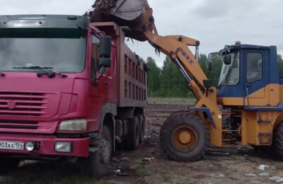 В селе Болотнинского района ликвидировали сразу три свалки