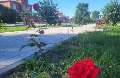 Бабье лето ожидается в Болотнинском районе в конце сентября 2022