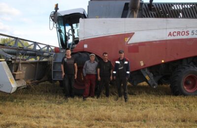 Аграрии Новосибирской области намолотили более 3 млн тонн зерна