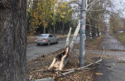 Жителям Новосибирской области вернули электроэнергию после урагана
