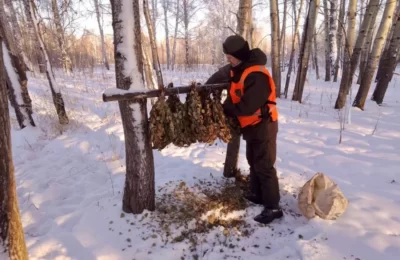 Веники и соль для зимовки диких животных заготовили в заказниках Новосибирской области