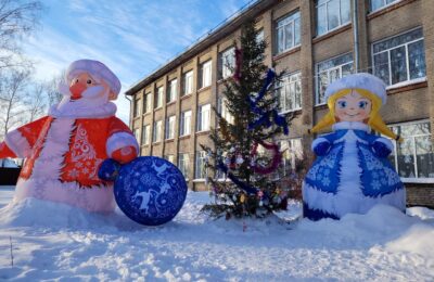 Погода в новогодние каникулы в Болотном: ветрено и снежно