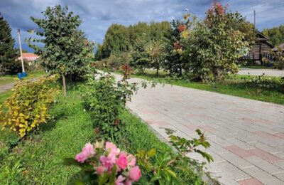 В Новосибирской области за 5 лет благоустроено почти 400 парков и более 1000 дворов