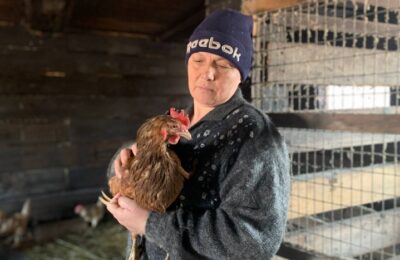 В Новосибирской области стало больше фермеров благодаря соцконтрактам