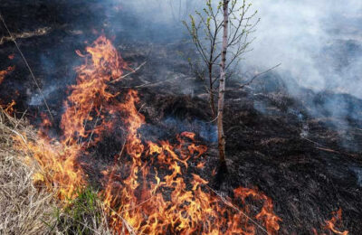 В Новосибирской области продлен особый противопожарный режим
