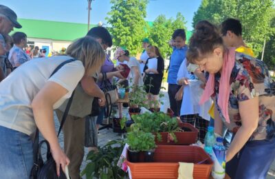 Школьники из Болотнинского района выращивают и продают рассаду