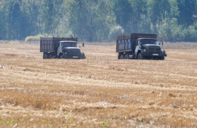 Министр сельского хозяйства Новосибирской области назвал задачу для аграриев