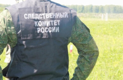 В Новосибирской области с начала года возбудили сотни уголовных дел о коррупции