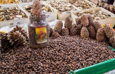 О сроках сбора орехов и ягод в Новосибирской области рассказали специалисты Болотнинского лесничества