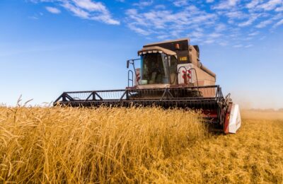 Аграрии Новосибирской области соберут зерна больше, чем требуется для нужд региона