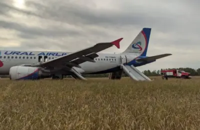 Самолет «Уральских авиалиний» сел в поле в Новосибирской области