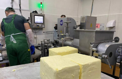 Производство масла и сыра увеличилось в Новосибирской области в 2023 году