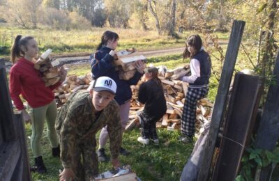 В Болотнинском района волонтеры помогли пенсионерке сложить дрова