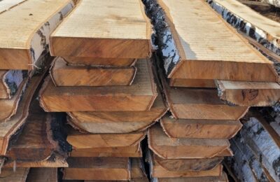 Болотнинцам рассказали как получить древесину от государства
