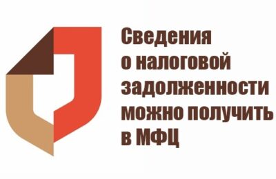 В филиалах МФЦ новосибирцам доступны сведения о налоговой задолженности
