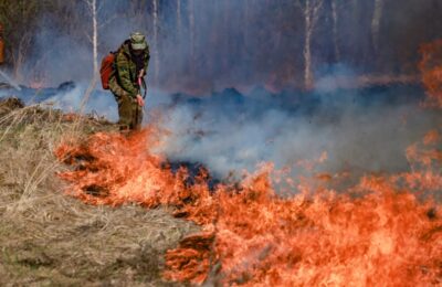 Новосибирская область активно готовится к пожароопасному сезону 2024 года