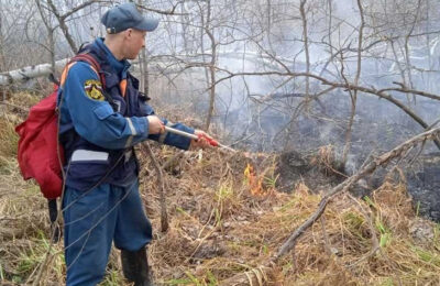 МЧС назвало самые пожароопасные районы Новосибирской области