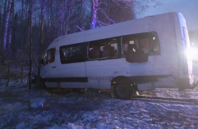 Четыре человека пострадали в ДТП с грузовиком и «Газелью» в Болотнинском районе