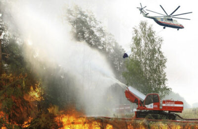Андрей Травников утвердил план по предупреждению и тушению лесных пожаров