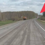 Ещё три участка дороги «Новосибирск – Ленинск-Кузнецкий» отремонтируют в регионе по нацпроекту