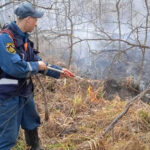 В Новосибирской области завершился пожароопасный сезон