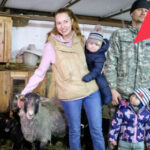 Разводить животных и зарабатывать при поддержке соцконтракта смогут жители Новосибирской области