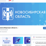 Каждый голос услышан. Как госпаблики помогают решать важные вопросы жителей Новосибирской области
