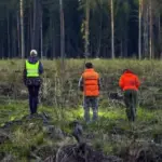 В Новосибирской области в мае без вести пропали 134 человека