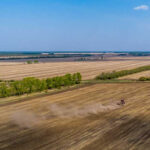 В Новосибирской области поля атаковали опасные вредители