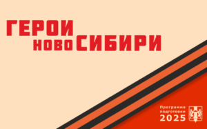 Заместители глав по взаимодействию с ветеранами СВО появятся в муниципальных образованиях Новосибирской области