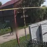 Житель Болотного сбросил собаку с моста на железнодорожные пути