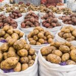 цены на огурцы и картошку снизились в Новосибирской области