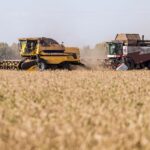 Новосибирские предприятия АПК повысили производительность на 25%