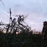 Современные технологии помогают контролировать законность осенней охоты в Новосибирской области