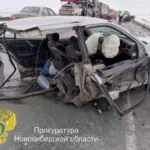 В Новосибирской области женщина получила 2 года колонии за смертельное ДТП