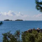 Новосибирская область голосует за Новосибирск