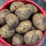 Простые советы по сохранению картофеля