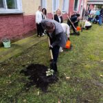 В Новосибирской области высадили Аллею долголетия по нацпроекту