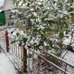 Новосибирская область укрыта снегом