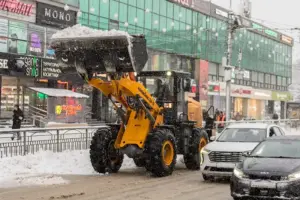 700 детей не смогли попасть в школы из-за снегопада