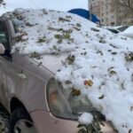 Похолодание до –20 °C ожидается в Новосибирской области 11 ноября