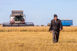 Прокуратура Новосибирской области встала на защиту сельхозработников