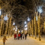 В Новосибирской области произвели подсчет неработающих граждан