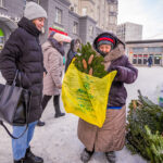 Уточнены точные даты выплаты предновогодних пенсий и пособий в декабре 2025 года