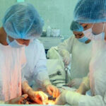 В Новосибирске хирурги провели операцию по удалению гигантской миомы размером с арбуз